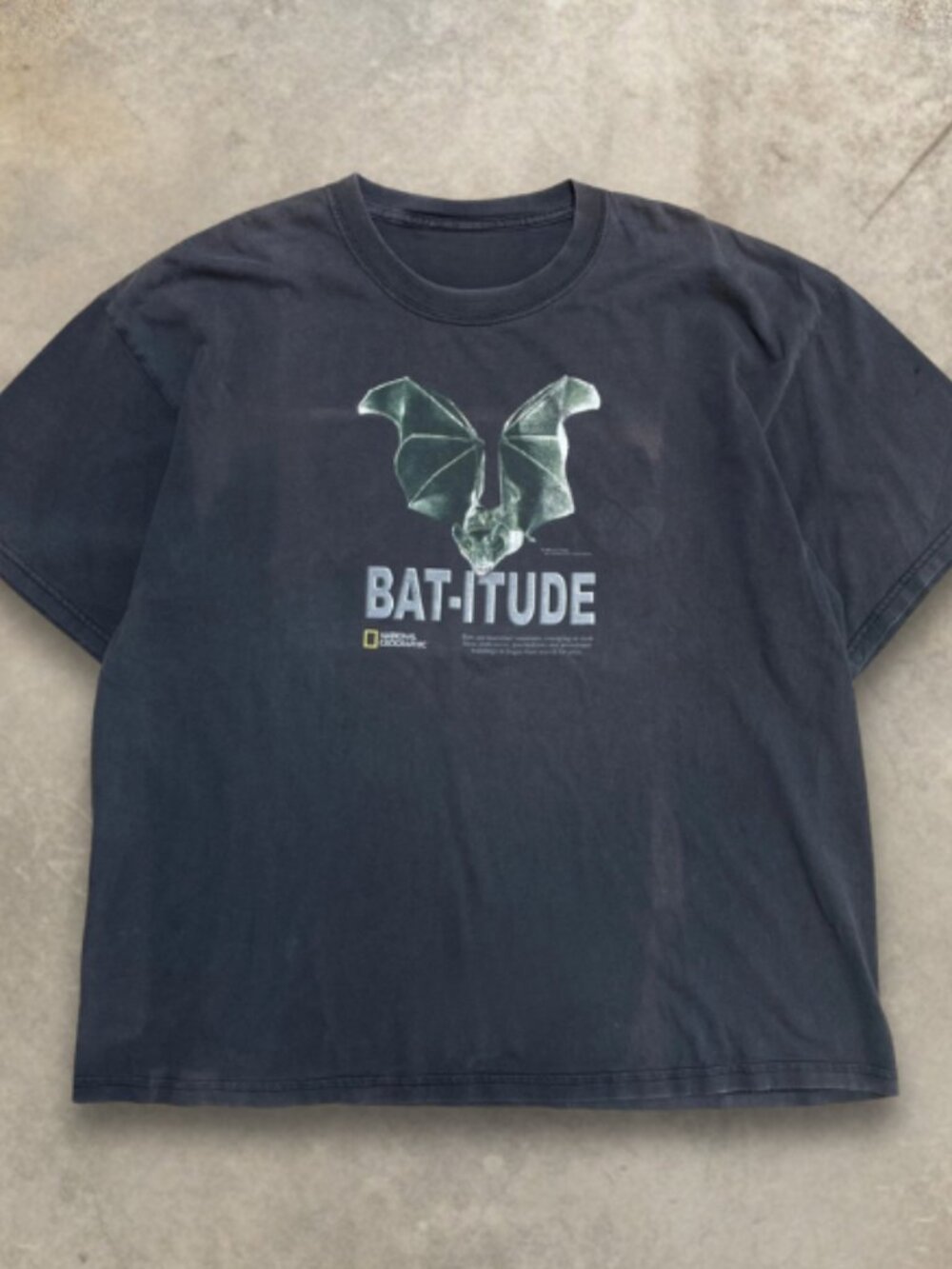 Vintage ''BAT-ITUDE'' Bat Graphic Tee Charcoal T-Shirt